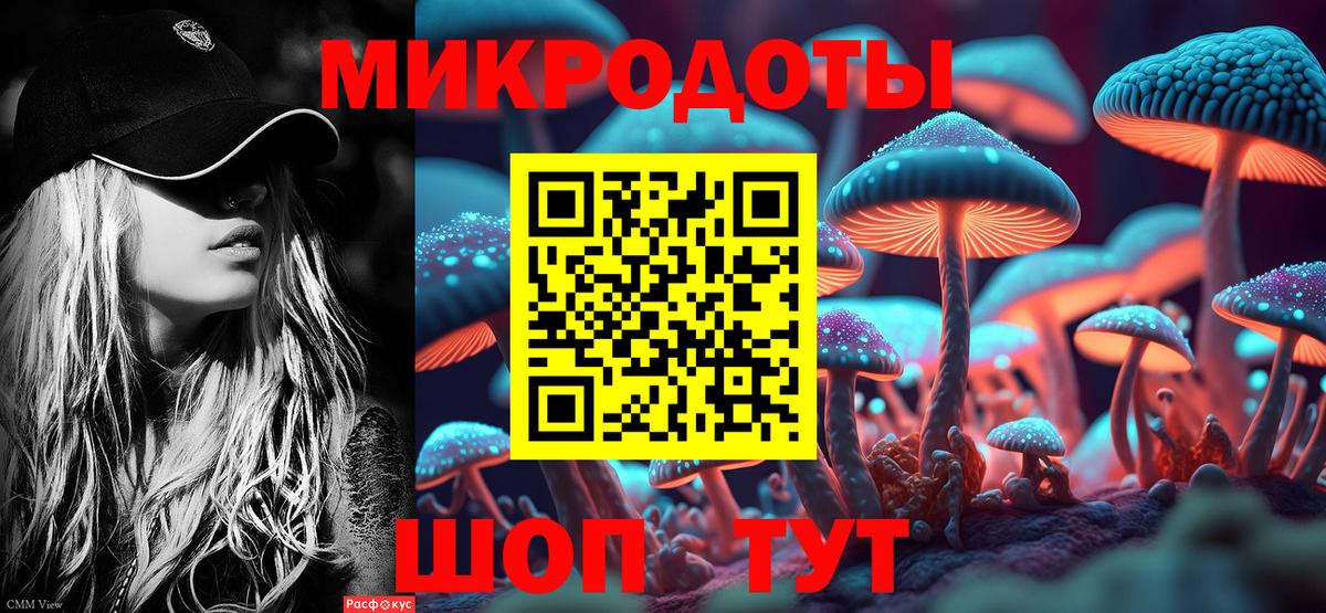 Керчь  закладка  Вход с VPN  Псилоцибиновые грибы Psilocybe 